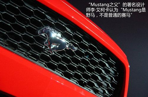 ȫ¸MUSTANG